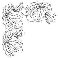 jungle leaf border crn 003